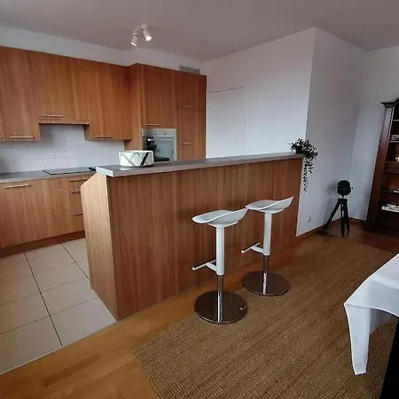 公寓 Cosy In With A Terrace 布兰肯贝赫